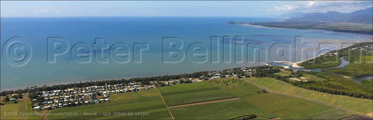 Peter Bellingham Photography Newell - QLD (PBH4 00 14186)